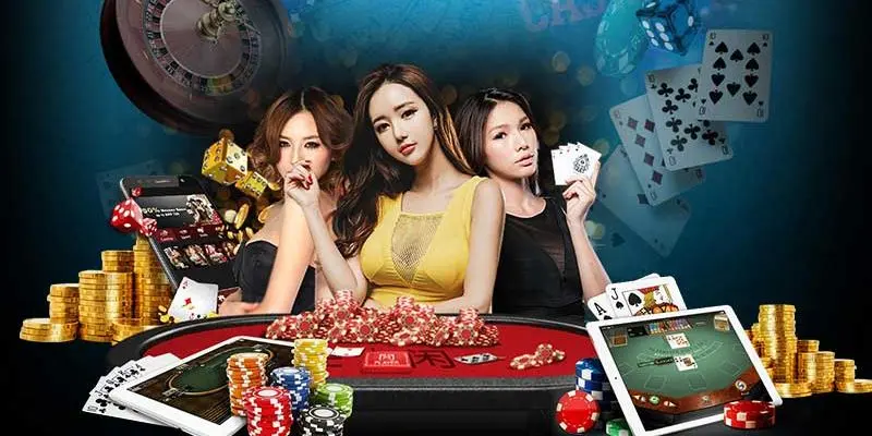 Overview of Phpark Betting Site